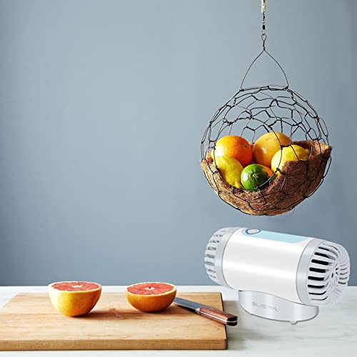 JTWEB Lavadora de frutas y verduras con tecnología de purificación de iones OH 2500 mAh Dual Core y vegetales Limpiador de vegetales IPX7 Purificador de fruta impermeable Purificador de alimentos port Cover