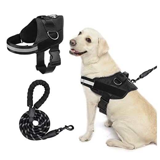 EXPAWLORER Upgraded No Pull Dog Harness with Leash Set - Adjustable Reflective Dog Vest Harness with 3 Drings, Easy Control Handle, Hook and Loop Panel, for Medium Large Dogs