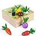 Juguete de Zanahoria,Juguetes Montessori,Madera Niños Juego de Clasificación Rompecabezas Juguetes,Zanahorias Clasificación,para Niños y Bebés de 1-3 años Rompecabezas de Madera Juguete ((F)Vegetales)