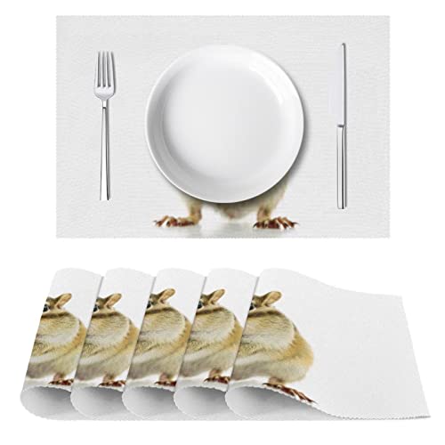 Set de table hamster mignon, cadeau idéal pour amateurs d'animaux