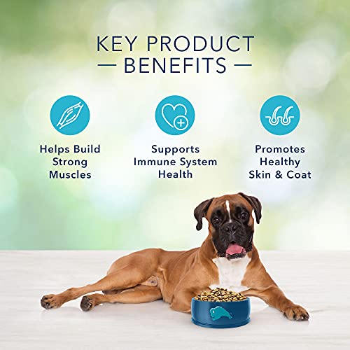 Blue Buffalo Freedom Grain Free Natural Adult Dry Dog Food, Chicken 24-lb - Image 6