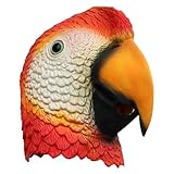 SHITOOMFE