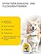 Japan Premium Natürlich Geruchsneutralisierer & Fleckenentferner | Hundeurin Geruchsentferner mit Yomogi & Catechin | Besser als herkömmlich Enzymreiniger | 270 ml mit Bergkräuter Frischeduf