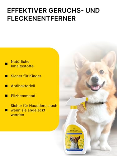 Japan Premium Natürlich Geruchsneutralisierer | Hundeurin Geruchsentferner mit Yomogi & Catechin | Besser als herkömmlich Enzymreiniger | 270 ml mit Bergkräuter Frischeduf