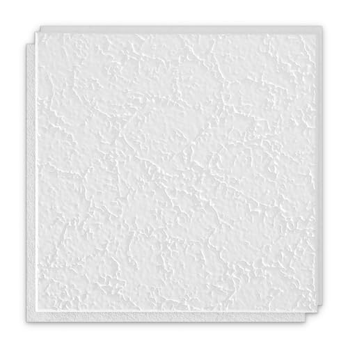 Armstrong Ceiling Tiles; 1x1 Ceiling Tiles - 40 pc White; Acoustic Ceilings for Suspended Grid; Grenoble 258