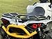 Wild Boar® Rear Rack for Can-am Renegade (All Years All Models)