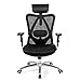 Giantex Ergonomic Mesh Office Chair Adjustable High Back Chair with Adjustable Headrest and Tilt-Down Backrest, Ergonomic Breathable Computer Desk Chair, Executive Mesh Task Chair (Black)