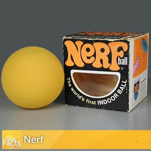 Fun Facts About Nerf
