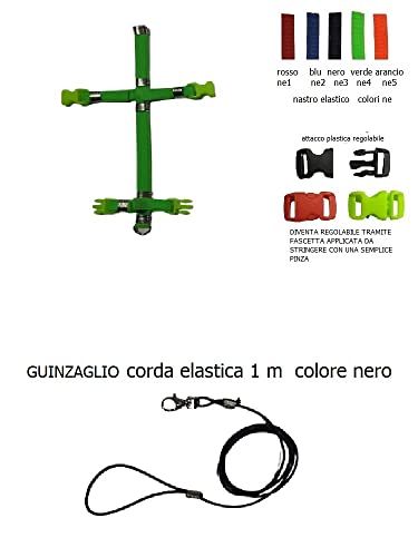 Arnés para cacatúa y loros de todas las razas con cuerda resistente de 3 mm 3