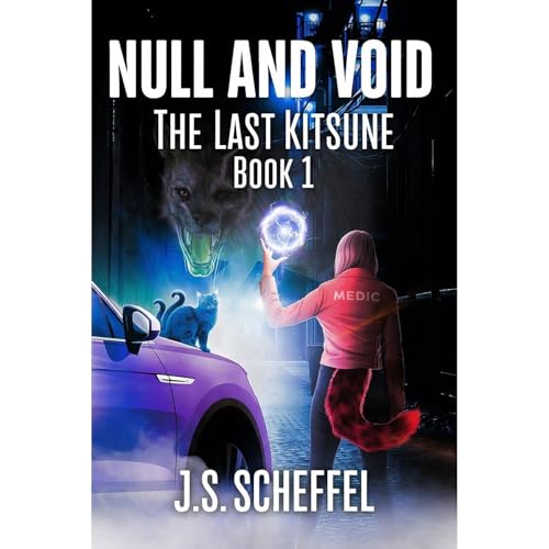 Null and Void Audiolibro Por JS Scheffel arte de portada