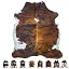 Brown Brindle