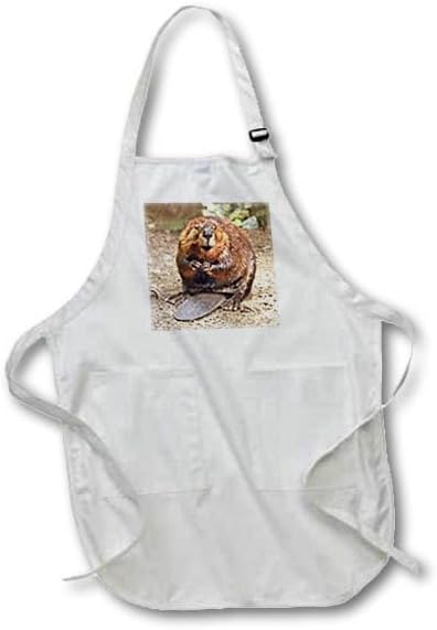 3dRose LLC Beaver Full Length Apron with Pocket, 22 by 30-Inch