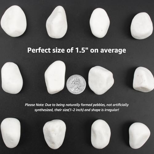 Image of 10lbs White River Rocks, Polished Pebbles for Plants, Garden, 1-2 Inch Decorative Stones, Ideal for Fish Tanks, Vases, Crafting, and Landscaping (Weight : 10 LB, Pure White)