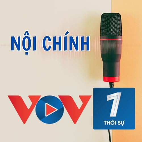 『VOV - Nội chính』のカバーアート