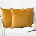 FORTRY 2er Set Pack Samt Soft Solid Kissenbezug 40x40cm Kissenhülle Dekorative Quadrat Wurf Kissenbezug Dekokissen Sofa Schlafzimmer Sofakissen Wurfkissenbezug samtkissen Gelb