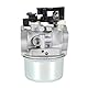 Ewillownm Kompatibel mit 591137 Vergaser für Briggs Stratton 591597 216852 590780 593380 591137 110P02 110P05 8,75 875 Serie