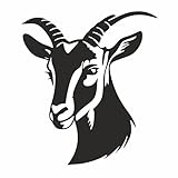 AMA SHOP