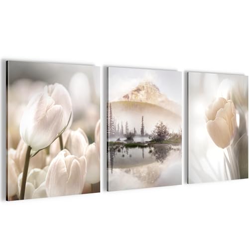 Novart Set Cuadros Decorativos Naturaleza