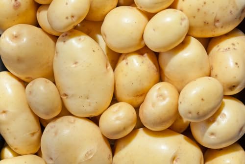 Yukon Gold Seed Potatos for Planting - Easy to Grow