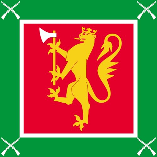Drapeau Oppland Regiment 1.35m² pour pavoiser sans risque de déchirure - 2