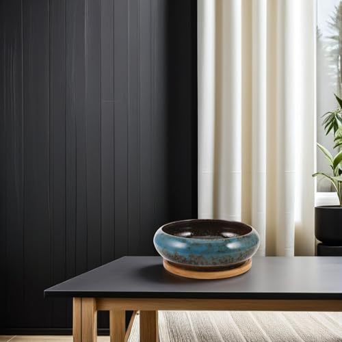 Bol hydroponique pot peu profond céramique bleu pour succulentes - 6