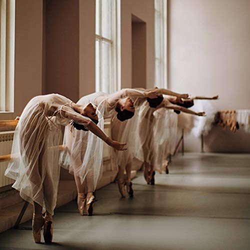 JUODVMP Stretch Canvas Ballet Shoes for Girls/Toddlers/Kids/Women Ballet Slippers Ballet Flats Yoga Dance Shoes,Model TJBL 7