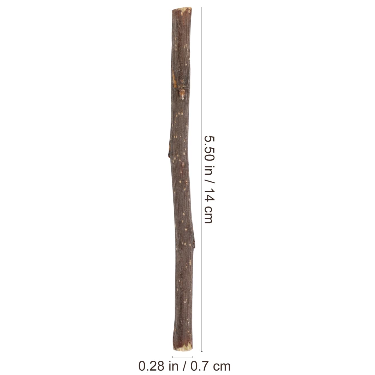 BESPORTBLE Lot de 40 brindilles en bois naturel pour travaux manuels, véritable branche de bouleau pour projets artistiques, pièces décoratives en bois rustique pour décoration de maison et kit de