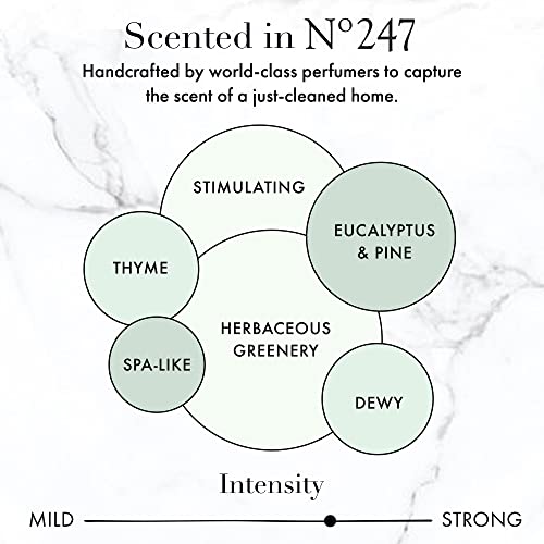 image for The Laundress New York The Laundress - Surface Cleaner, No. 247 Scente