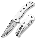 CVLIFE Damascus Pocket Knife for Men, 3....