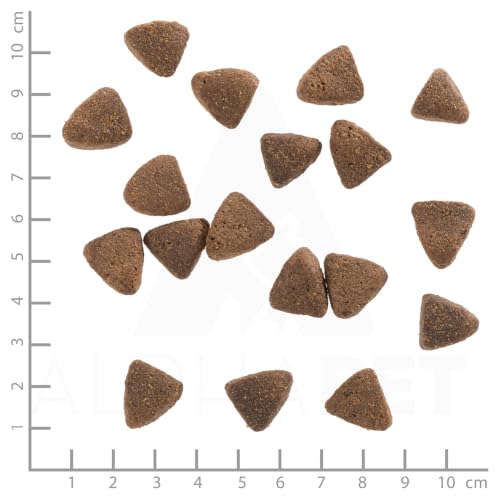 WOLFSBLUT – Wide Plain Adult Light | Fettreduziertes Trockenfutter mit wertvollen Superfoods für ausgewachsene Hunde. Getreidefreies Alleinfutter ohne Zusatzstoffe im Beutel | 2kg Pferd