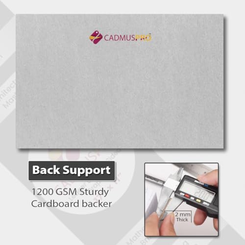 CADMUSPRO A+ Pack of 2 Ledger Size Graph Pads, 1/4