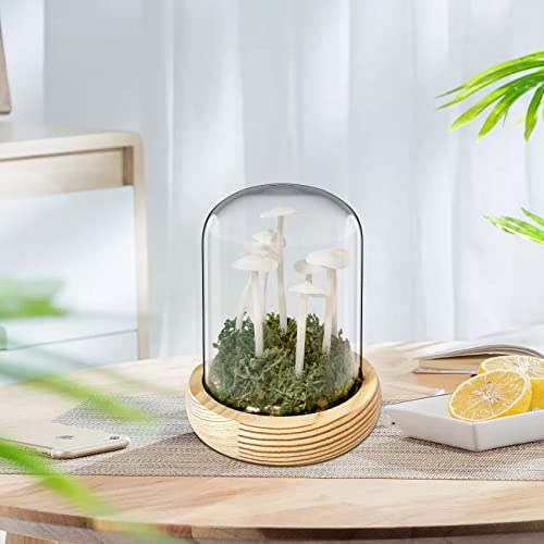 Sytmhoe Mushroom Night Light,Handmade Mushroom Lamp,White Mushroom Lamp With Glass Dome For Home Decor Wedding Birthday Party Valentine's Day Gifts #TOP3