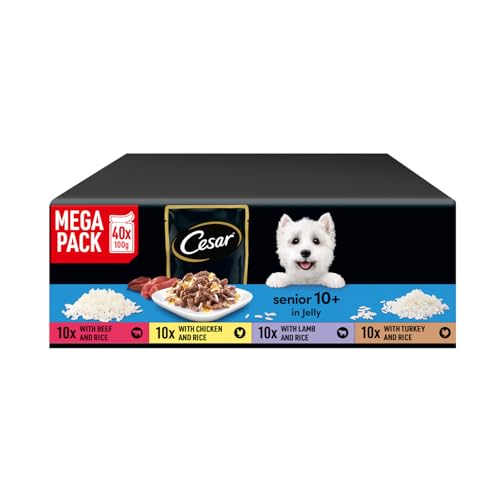 Price comparison product image CESAR Senior Dog Pouches Sauce Selection in Jelly 40x100g