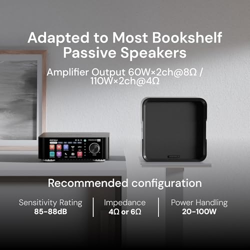 Eversolo Play Music Streamer and Amplifier
