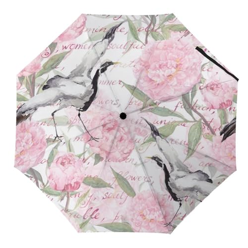 Parapluie pliant chien ballon parapluie automatique compact pour voyage