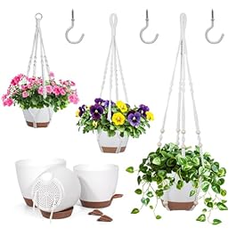 Hanging Planters for...