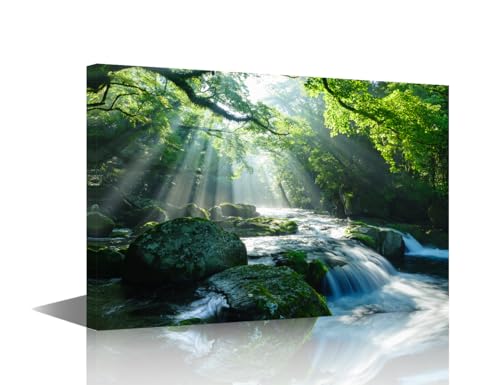 Toile paysage cascade TISHIRON pour embellir un mur de salon vide