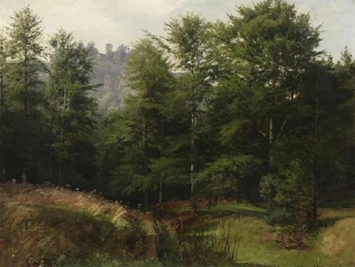 Peintures Waldlandschaft en Haute-Sachse Poster Salon Nature