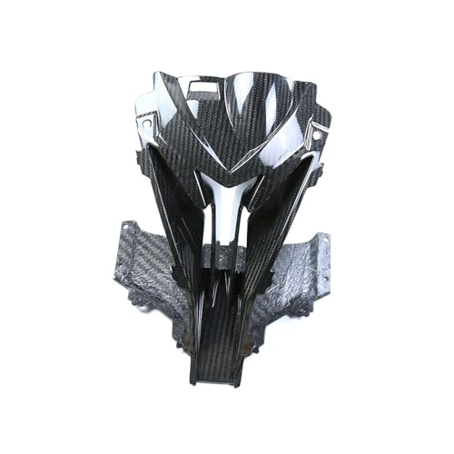 Carénage avant carbone sec BMW S1000R entrée air plastique usée