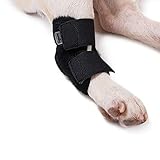 マックスペット 【国内発送】犬 関節 サポーター 膝 踵 ショート プロテクター 脚 サポート 捻挫 関節炎 予防 傷口 手根 足根 保護 二次感染 術後 リハビリ 怪我 足首 骨折治療 老犬 散歩
