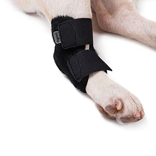 }bNXybg yz ֐ T|[^[ G  V[g veN^[ r T|[g P ֐߉ \h  荪  ی 񎟊 p nr   ܎ V U