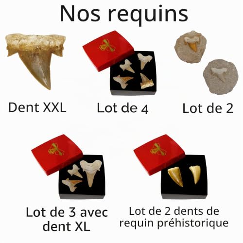 Vignette produit