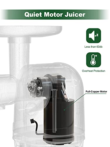 Cold Press Juicer, Bpa-Free Masticating Juicer With Reverse Function, Fruit And Vegetable Extractor With Pulp Remover, Quiet Motor & Easy To Clean With Brush, Slow Juicer For Ginger Carrot Beetroot #TOP6