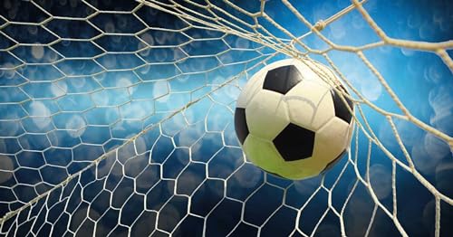 Fútbol en la Red Puzzle de Madera de 12000 Piezas Interesante Juego de Regalo para Adultos