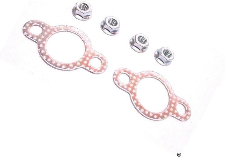 BRAIN DUMP Compatible with Kohler 25 786 01-S Muffler Hardware Kit Genuine for Compatibility WIT