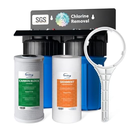 iSpring WGB21B Whole House Filter System