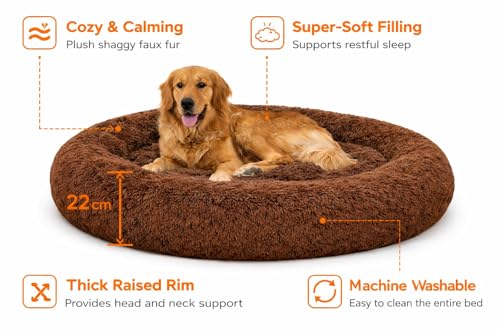 Image of ZEXSAZONE Summer Comfortable Durable Both Sides usable and Washable Pet Bed | Cat Bed | Puppy Bed | Dog Bed | Medium Dog Bed for Cats Puppies (Coffee, Extra Large) 110 X 110 X 22 cm