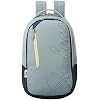 Skybags Campus Grey Logo Print College Laptop Backpack 30L, Grey, 15, Laptop Bags & Cases
