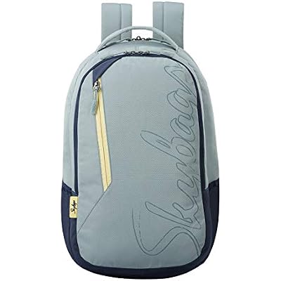 Skybags Campus Grey Logo Print College Laptop Backpack 30L, Grey, 15, Laptop Bags & Cases
