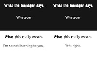 TEENAGERS: WHAT THEY SAY AND WHAT THEY M 1909732524 Book Cover